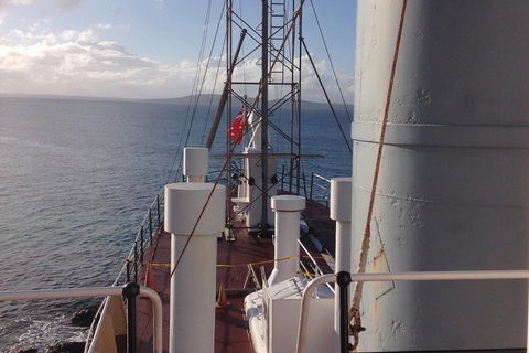 Albany's Whale Story - Maitland Accommodation 2