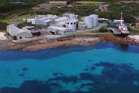 Albany's Whale Story - Maitland Accommodation 4