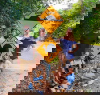 Cape Tribulation Daintree Rainforest and Wildlife Tour - Maitland Accommodation