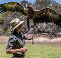 One Day Kangaroo Island Sip  See tour with return ferry transfers from Adelaide - Maitland Accommodation