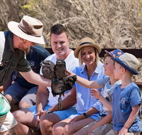 2 day Ultimate Kangaroo Island with return ferry - Maitland Accommodation