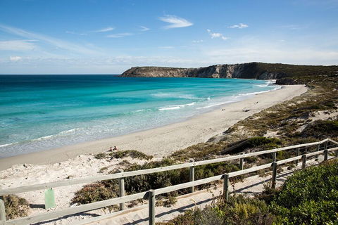 Full Day Kangaroo Island Sip And See Tour Departing From Kangaroo Island - Maitland Accommodation 5