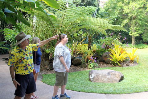 Cairns Shore Excursion: Cairns City Sights & Surrounds Tour - Maitland Accommodation 4