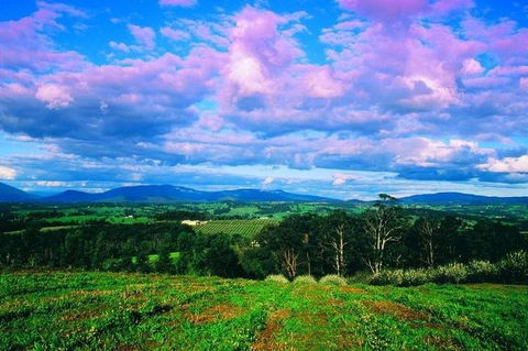 CHEVY CONVERTIBLE Package For 4 -Wine Lunch Cheese & Chocolate From Yarra Valley - Maitland Accommodation 4