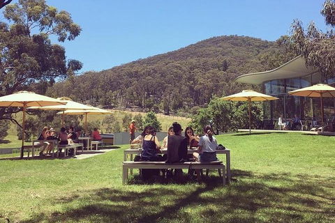 Yarra Valley Wine And Cider Tours By Classic Convertibles From Melbourne - Maitland Accommodation 0