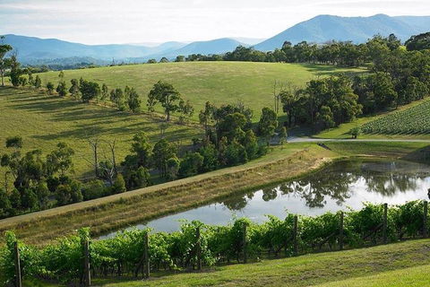 Yarra Valley Wine And Cider Tours By Classic Convertibles From Melbourne - Maitland Accommodation 1