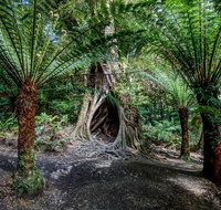 Adelaide to Melbourne 3-Day Trip through Grampians and Great Ocean Road - Maitland Accommodation