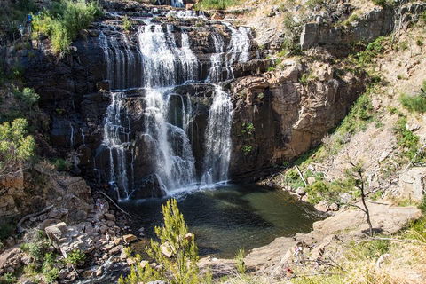 Grampians National Park With Kangaroos And MacKenzie Falls From Melbourne - Maitland Accommodation 1