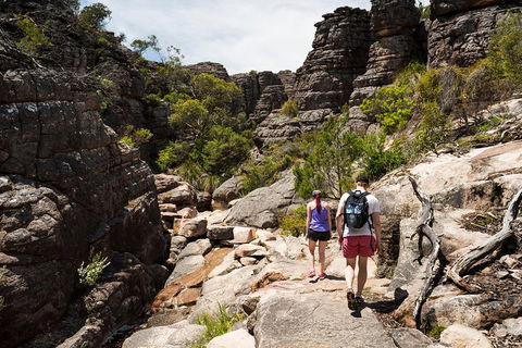 Grampians National Park With Kangaroos And MacKenzie Falls From Melbourne - Maitland Accommodation 3