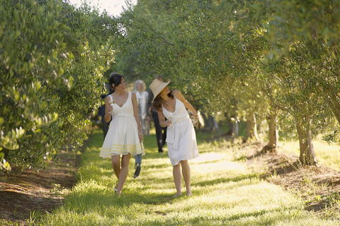 Yarra Valley Wine Tour With Local Harvest Tastings From Melbourne - Maitland Accommodation 0