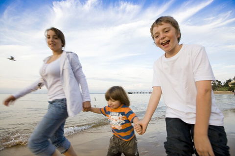 Phillip Island Penguin And Koala Highlights Day-Trip From Melbourne - Maitland Accommodation 0