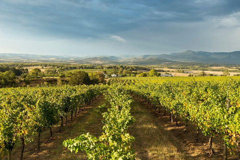 Yarra Valley Local Produce And Wine Tasting Tour - Maitland Accommodation 3