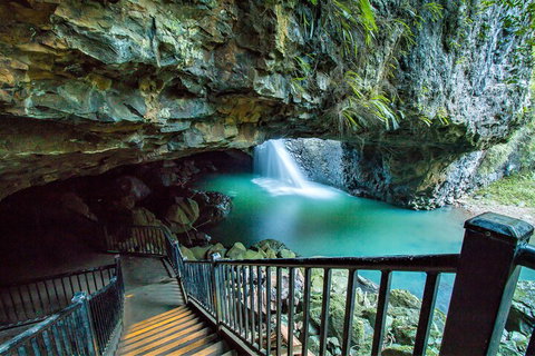 Springbrook Full Day Tour - Maitland Accommodation 4