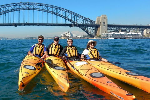 Kayak To Goat Island In Sydney Harbour With Local - Maitland Accommodation 5