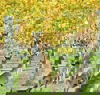 Margaret River Indulge and Discover Day Tour - Maitland Accommodation