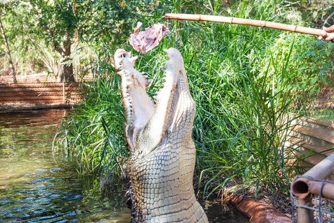 3 In 1 Tour: Matsoâ€™s Brewery, Broome Museum & Malcolm Douglas Crocodile Park - Maitland Accommodation 3
