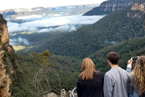 Blue Mountains Private Tour - Wild Kangaroos, Waterfalls And The Three Sisters - Maitland Accommodation 3