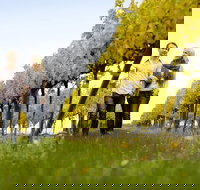 2-Day Private Daylesford  Macedon Ranges Gourmet Food Trail Tour from Melbourne - Maitland Accommodation