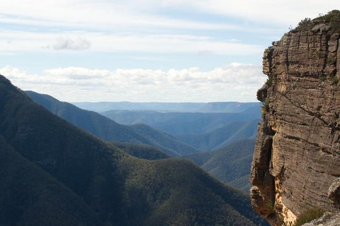 Inside The Greater Blue Mountains World Heritage - A Private Wildlife Safari Overnight - Maitland Accommodation 4