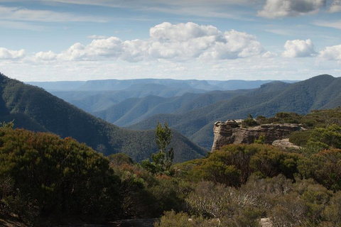 Inside The Greater Blue Mountains World Heritage - A Private Wildlife Safari Overnight - Maitland Accommodation 5