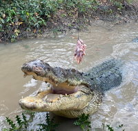 Top End Waterfalls and Wetlands - Maitland Accommodation