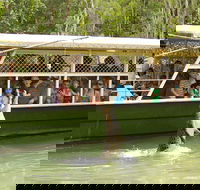Hartley's Crocodile Adventure Half-Day Tour - Maitland Accommodation
