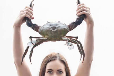 The Ultimate Gold Coast Attractions Pass - Maitland Accommodation 0