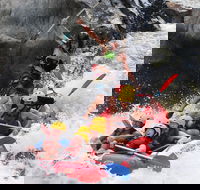 Barron Gorge National Park Half-Day White Water Rafting from Cairns or Port Douglas - Maitland Accommodation