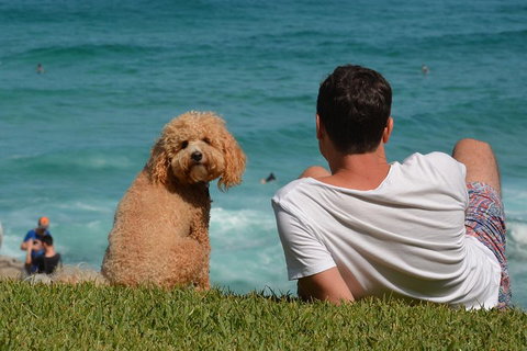 See Sydney With A Local: Private & Personalized - Maitland Accommodation 5