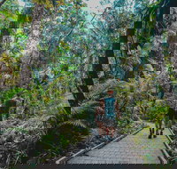 Full Day Cooktown Private Tour - Maitland Accommodation