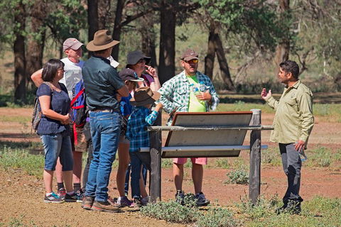 Yura Udnyu - Our Culture, Your Culture (Aboriginal Cultural Walk) - Maitland Accommodation 2