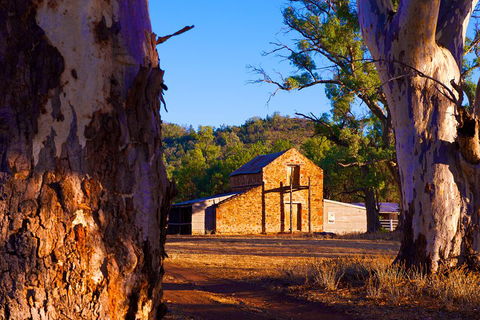 Yura Udnyu - Our Culture, Your Culture (Aboriginal Cultural Walk) - Maitland Accommodation 4