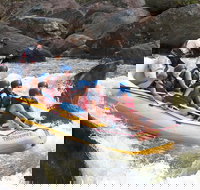 Barron River Half-Day White Water Rafting from Cairns - Maitland Accommodation