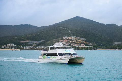 Whitsunday Islands Hopper Pass - Maitland Accommodation 4
