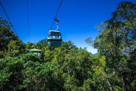 Classic Kuranda By Skyrail And Scenic Railway Including Rainforestation, Koala And Wildlife Park And Pamagirri Aboriginal Experi - Maitland Accommodation 0