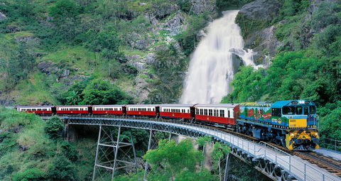 Classic Kuranda By Skyrail And Scenic Railway Including Rainforestation, Koala And Wildlife Park And Pamagirri Aboriginal Experi - Maitland Accommodation 1