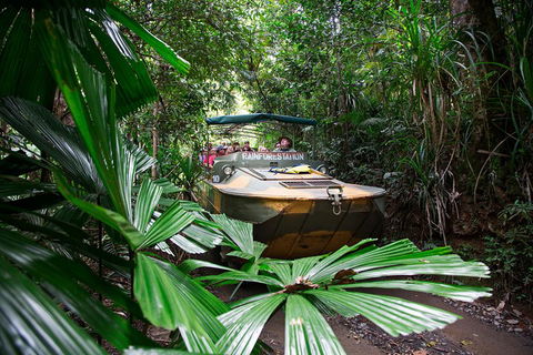 Classic Kuranda By Skyrail And Scenic Railway Including Rainforestation, Koala And Wildlife Park And Pamagirri Aboriginal Experi - Maitland Accommodation 4
