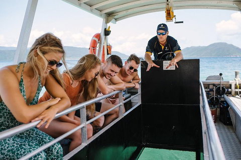 Fitzroy Island Day Trip From Cairns - Maitland Accommodation 4