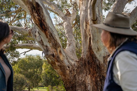 NEW TOUR - Kangaroo Island Road To Recovery Tour (1 Day/1 Night) - Maitland Accommodation 0