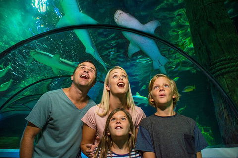 SEA LIFE Sunshine Coast Aquarium Entrance Ticket - Maitland Accommodation 3
