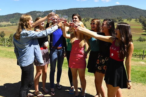 Hunter Valley Wine Tour From Sydney Incl Lunch, Cheese, Chocolate And Distillery - Maitland Accommodation 3