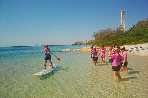 Golden Beach 1-Hour Stand-Up Paddleboard Hire On The Sunshine Coast - Maitland Accommodation 1