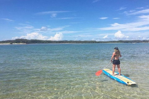 Golden Beach 1-Hour Stand-Up Paddleboard Hire On The Sunshine Coast - Maitland Accommodation 4