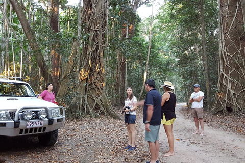 Great Beach Drive 4WD Tour - Private Charter From Noosa To Rainbow Beach - Maitland Accommodation 1